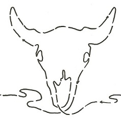 Buffalo Skull - 7"